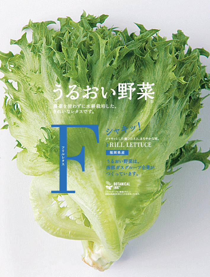 フリルレタスパッケージ画像